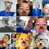 Benjamin Hutton - @benhutton11 - TikTok
