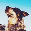 benjaminhyde3015 - @benjaminhyde3015 - TikTok