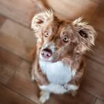 Benjamin Jacobs - @benjamin2pk - Instagram