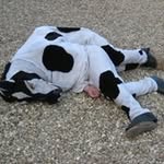 Benjamin Janes - @benjamin_janes - Instagram
