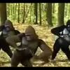 Benjamin Janke - @benjamin.janke - TikTok