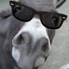 Benjamin janke  - @benjamin122411 - TikTok