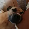 Benjamin Jankowski - @benjaminjankowski - TikTok