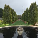 Benjamin Jantzen - @vandeplant - Instagram