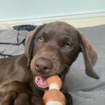 Benjamin jarrett - @benlastlaugh - Instagram