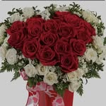Benjamin Jason - @jasonbe5440 - Instagram