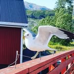 Benjamin Jason - @jason_benjamin456 - Instagram
