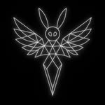 Benjamin Jason Ortlip - @whiterabbitgeometry - Instagram