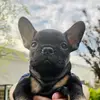 Benjamin Jett - @benjamin_jett - TikTok