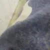 Benjamín Joaquin - @benjamn.joaquin - TikTok