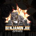 @benjaminjoekennels - Instagram