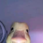 Benjamin Jonas - Facebook