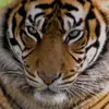 Benjamin Juarez - @benjamin.juarez94 - TikTok