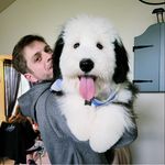 Benjamin Judah - @benjamin_judah - Instagram