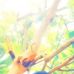 Benjamin Jude - Facebook