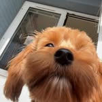 Benja - @benjamin_juhl - Instagram