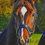 Benjamin - @_benjamin_jumper_ - Instagram