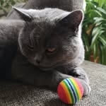 Benjamin Junge - @benjunge73 - Instagram