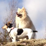 Benjamin Kämärä - @benjo2004_king - Instagram