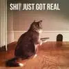 Benjamin Kamara - @benjamin.kamara37 - TikTok