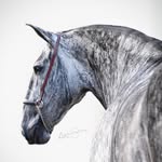 Benjamin Kanel - @benjaminkanel - Instagram