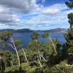 Benjamin Kandel - @bak1981 - Instagram