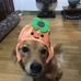 Benjamin Kao - Facebook
