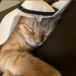 Benjamin Kasapi - @_benjaminkasapi - Instagram