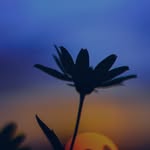 benji_69 - @benjaminkauffmann27 - Instagram