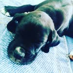 benjamin - @benjamin_keep - Instagram