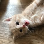 Benjamin Keefer - @keeferben - Instagram