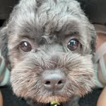 Benjamin Keen aka Bennie - @benniekeen2 - Instagram