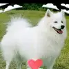 benjamin. kehinde - @user4551638618279 - TikTok