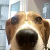 Benjamin Keith - @benjamin.keith51 - TikTok