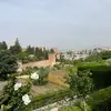 Ben - @benjamin.kellner - TikTok