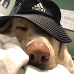 Benjamin Kenner - @kenner7366 - Instagram