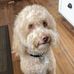 Benjamin Kenny - Facebook