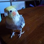 Benjamin Kessler - @benjamin.kessler.900 - Instagram