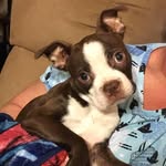 Benjamin Keys - @benjamin.keys.9 - Instagram
