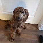 benjamin kidd - @benjaminkidd16 - Instagram