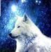 Benjamin Kiefer - Facebook