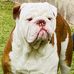 Benjamin Killingsworth - Facebook