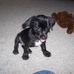 Benny Killingsworth - Facebook