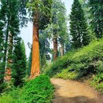 Benjamin Kimball - @sequoiahighadventure - Instagram