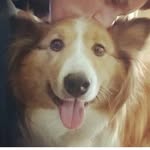 Mr. Benjamin Kimble - @mr.benjaminkimble - Instagram