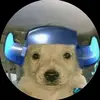 benjamin _king - @benjaminsanchez0963 - TikTok