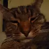 benjaminkinner756 - @benjaminkinner756 - TikTok