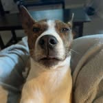 Ben Kinter - @benjamin__kinter - Instagram