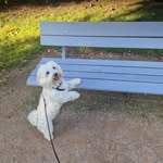 Benjamin Kircher - @benni0072024 - Instagram