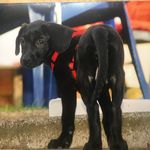 Benjamin Kirchner - @kirchner_benjamin - Instagram